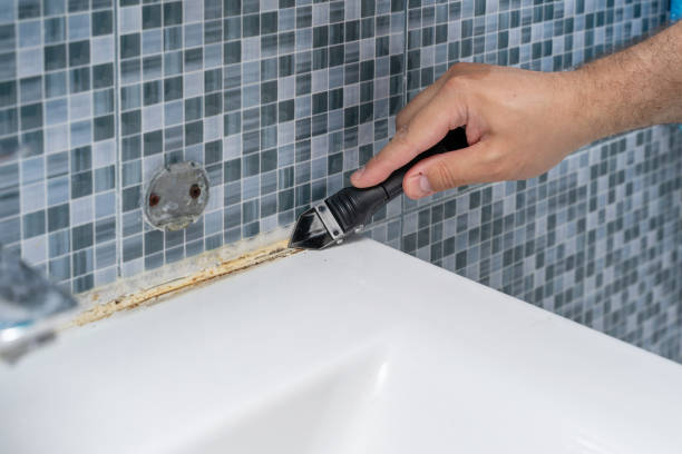 Best Home Mold Removal  in Highland Park, NJ
